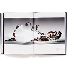 Load image into Gallery viewer, Alexander Mcqueen (Wilcox)