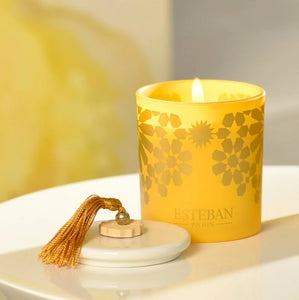 Esteban Candle | Ambre