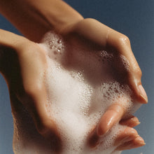 Load image into Gallery viewer, Sierra Wood Boxed Soap