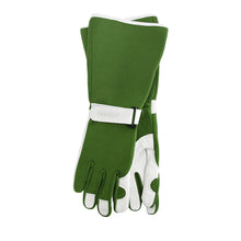 Load image into Gallery viewer, Sprout Long Sleeve Gloves