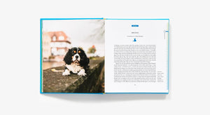 Fifty Places to Travel with Your Dog