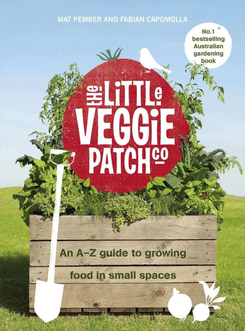Little Veggie Patch Co