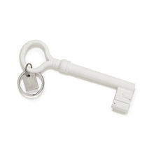 Load image into Gallery viewer, Key Keychain - Glow