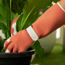 Load image into Gallery viewer, Sprout Long Sleeve Gloves