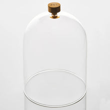 Load image into Gallery viewer, Glass Cloche with Brass Handle