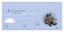 Load image into Gallery viewer, Ten Little Owls
