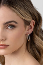 Load image into Gallery viewer, Dolce Vita Rhodium Earring