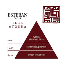 Load image into Gallery viewer, Esteban Mini Room Spray | Teck &amp; Tonka