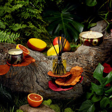 Load image into Gallery viewer, Goji &amp; Tarocco Diffuser