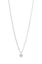 Load image into Gallery viewer, Petal Necklace | Silver