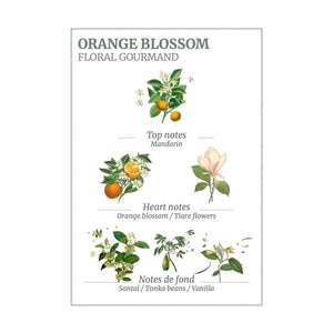 Orange Blossom Hand Cream | 75ml