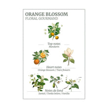 Load image into Gallery viewer, Orange Blossom Scented Candle