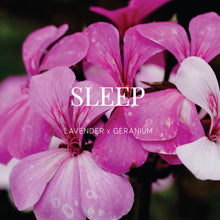 Load image into Gallery viewer, Shower Steamer | Sleep