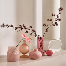Load image into Gallery viewer, Vase Bodii