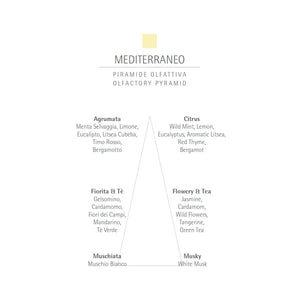 Mediterraneo Eau de Parfum | 100ml