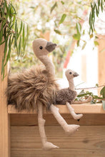 Load image into Gallery viewer, Eddie The Emu