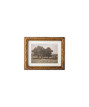 Load image into Gallery viewer, Stand Of Trees Wall Art