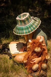 Henry the highland cow