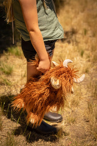 Henry the highland cow