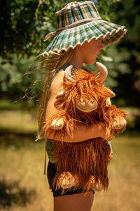 Henry the highland cow