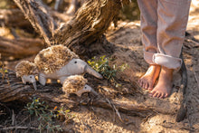 Load image into Gallery viewer, Mini Spike the Echidna Rattle