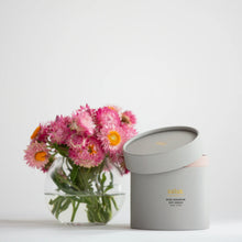 Load image into Gallery viewer, Rose Geranium Soy Porcelain Candle