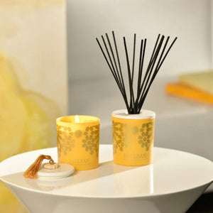 Esteban Diffuser | Ambre