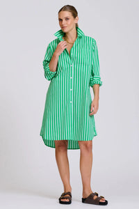 The Classic Cotton Shirt Dress | Double Green Stripe