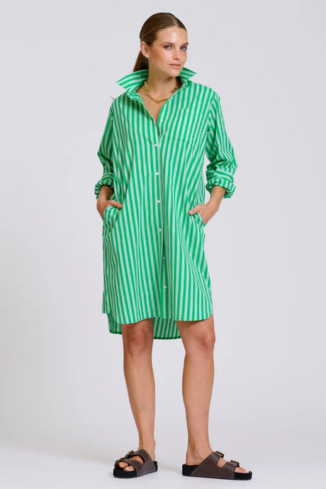 The Classic Cotton Shirt Dress | Double Green Stripe