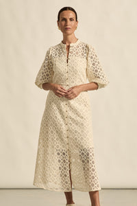 Succumb Dress | Brule