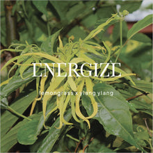 Load image into Gallery viewer, Shower Steamer | Energize