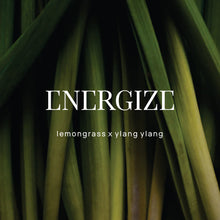Load image into Gallery viewer, Shower Steamer | Energize