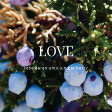 Load image into Gallery viewer, Shower Steamer | Love