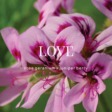Load image into Gallery viewer, Shower Steamer | Love