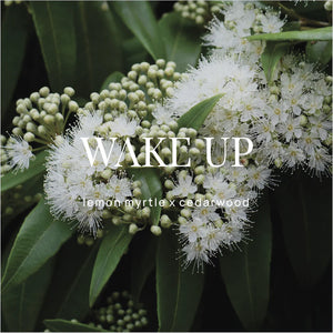 Shower Steamer | Wake up