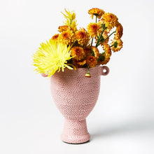 Load image into Gallery viewer, Speck Trophy  l  Pink
