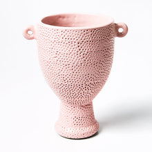 Load image into Gallery viewer, Speck Trophy  l  Pink