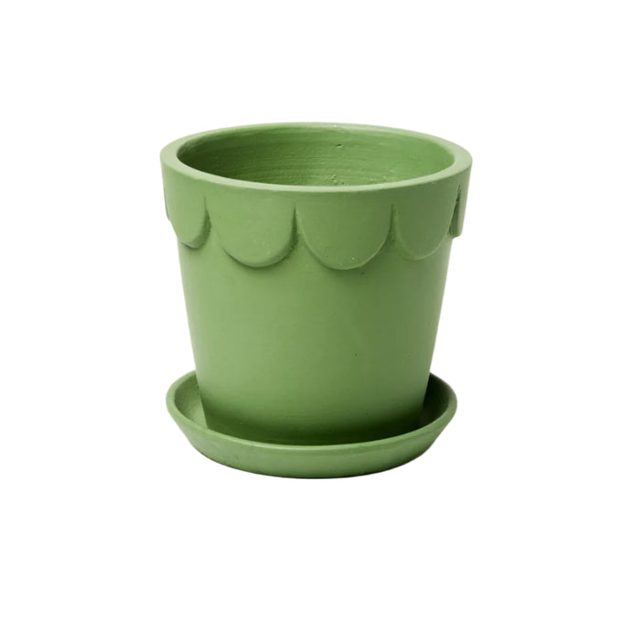 Jones & Co Dolly Pot | Small Pickle
